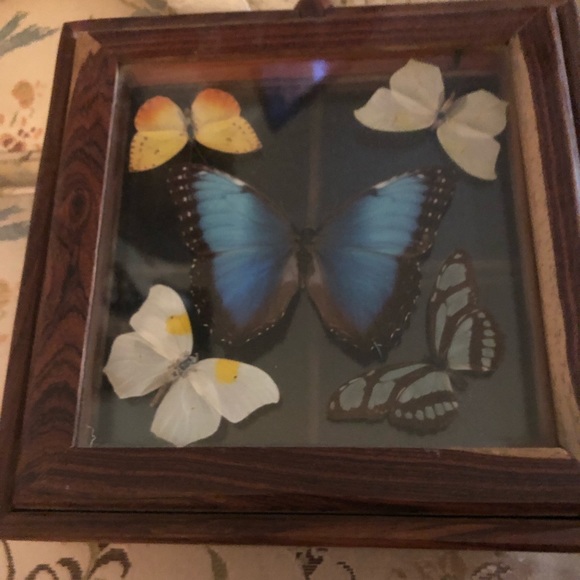 Wooden Box w/Butterflies - 463 $70 or $60 w/offer - Picture 1 of 7